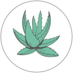 Herbal Aloe
